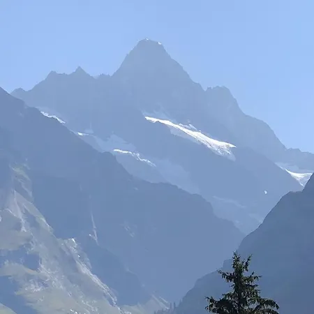 Romantisches Plaetzchen In Der * グリンデルヴァルト