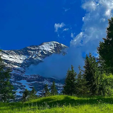 Swissalp Flitterwochen, Auszeit, Erholung * Grindelwald