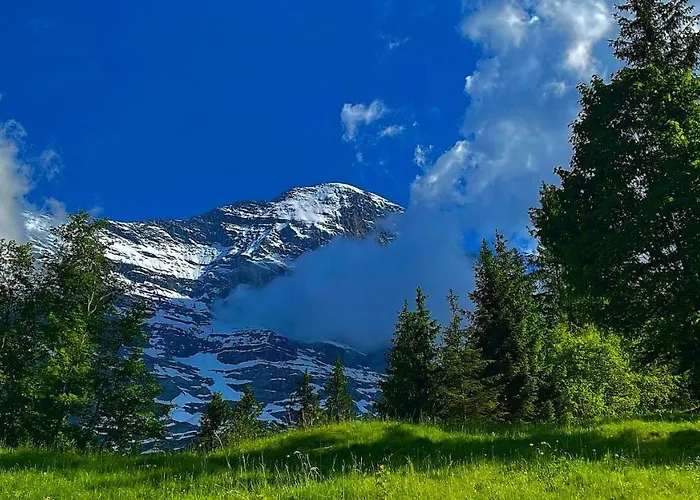 Swissalp Flitterwochen, Auszeit, Erholung * Grindelwald