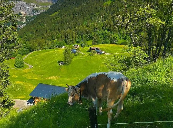 Swissalp Flitterwochen, Auszeit, Erholung Lejlighed *