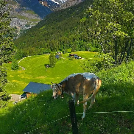 Swissalp Flitterwochen, Auszeit, Erholung 아파트 *
